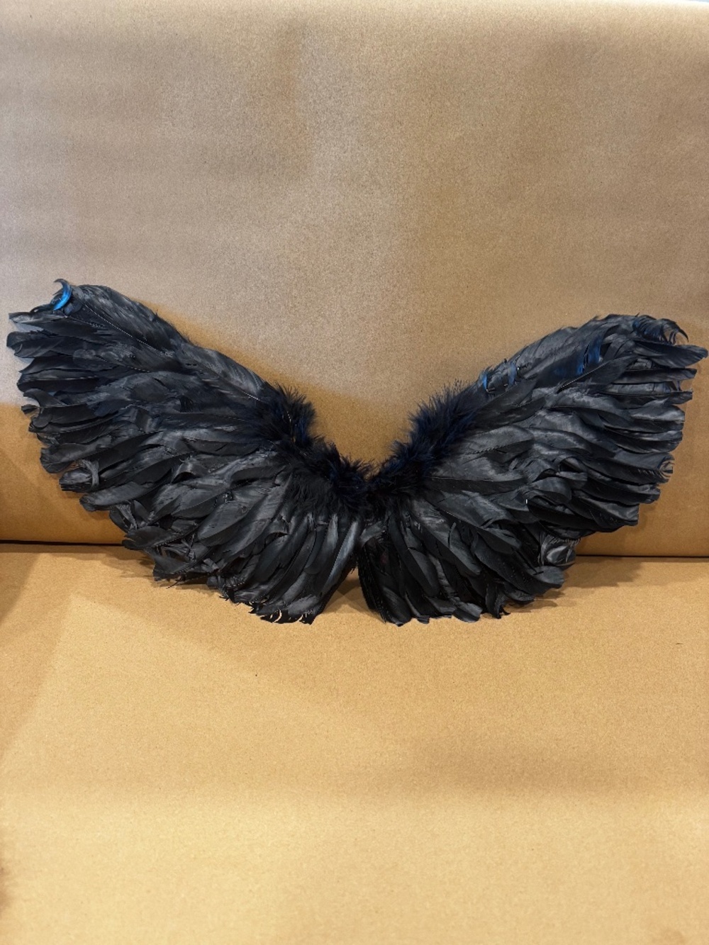 Black Costume Angel Wings and Halo